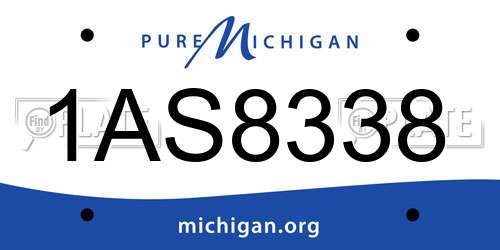 1AS8338 Michigan License Plate