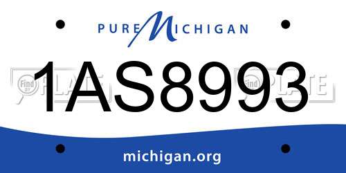 1AS8993 Michigan License Plate