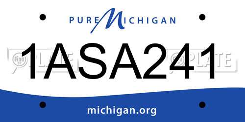 1ASA241 Michigan License Plate