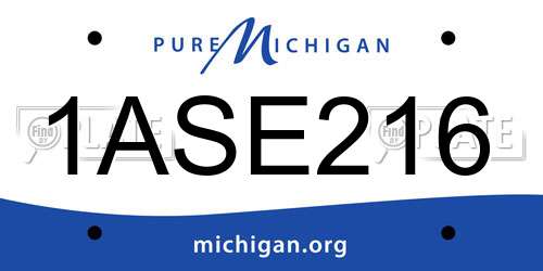 1ASE216 Michigan License Plate