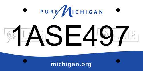 1ASE497 Michigan License Plate