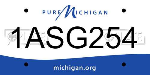 1ASG254 Michigan License Plate