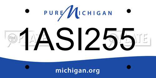 1ASI255 Michigan License Plate