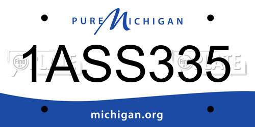 1ASS335 Michigan License Plate
