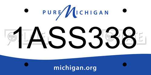 1ASS338 Michigan License Plate