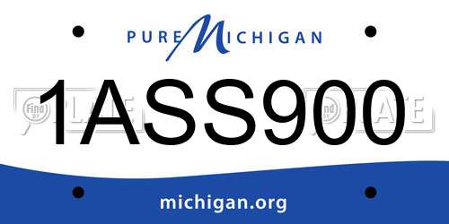 1ASS900 Michigan License Plate