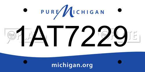 1AT7229 Michigan License Plate
