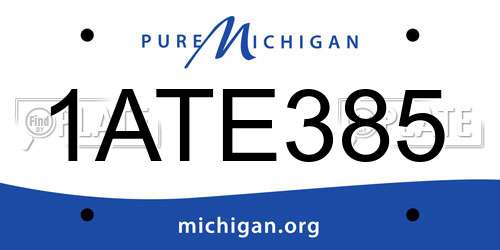 1ATE385 Michigan License Plate