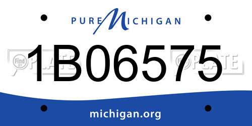 1B06575 Michigan License Plate