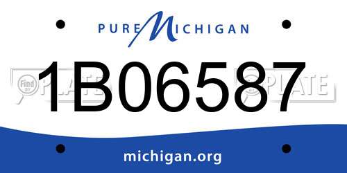 1B06587 Michigan License Plate