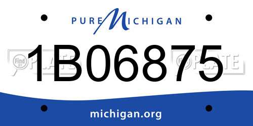 1B06875 Michigan License Plate