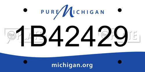 1B42429 Michigan License Plate