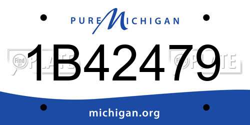 1B42479 Michigan License Plate