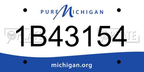 1B43154 Michigan License Plate