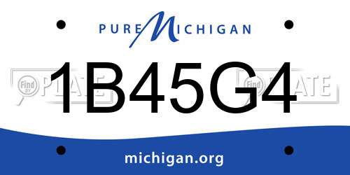 1B45G4 Michigan License Plate