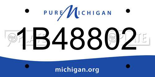 1B48802 Michigan License Plate