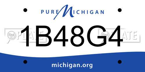 1B48G4 Michigan License Plate