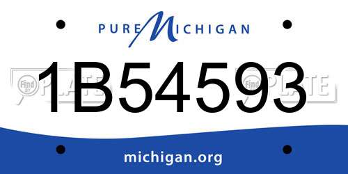 1B54593 Michigan License Plate