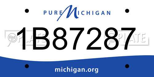 1B87287 Michigan License Plate