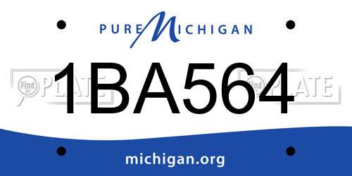 1BA564 Michigan License Plate