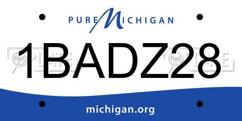 1BADZ28 Michigan License Plate