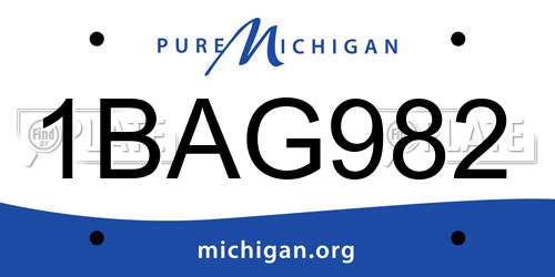 1BAG982 Michigan License Plate