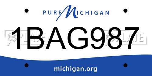 1BAG987 Michigan License Plate