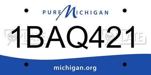 1BAQ421 Michigan License Plate