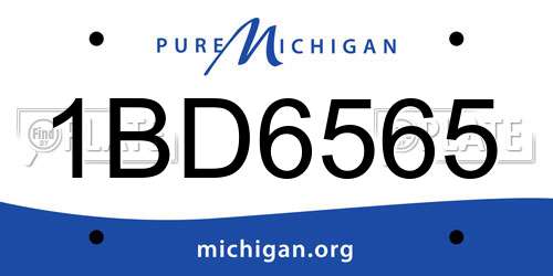 1BD6565 Michigan License Plate