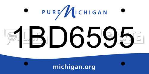 1BD6595 Michigan License Plate