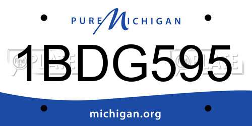 1BDG595 Michigan License Plate