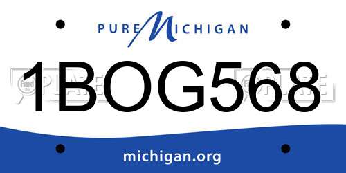 1BOG568 Michigan License Plate