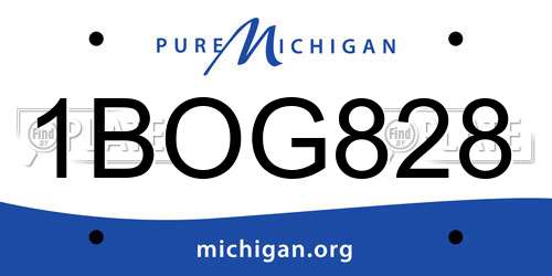 1BOG828 Michigan License Plate