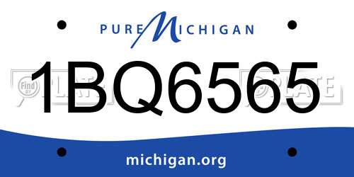 1BQ6565 Michigan License Plate