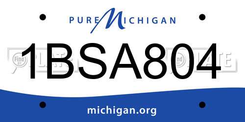 1BSA804 Michigan License Plate