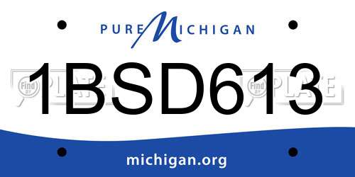 1BSD613 Michigan License Plate