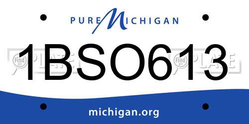 1BSO613 Michigan License Plate