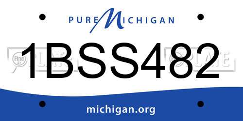 1BSS482 Michigan License Plate