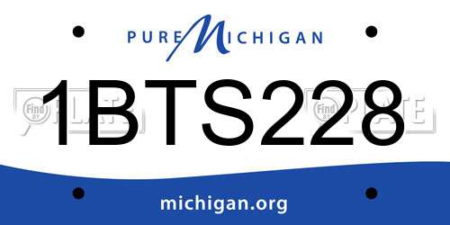 1BTS228 Michigan License Plate