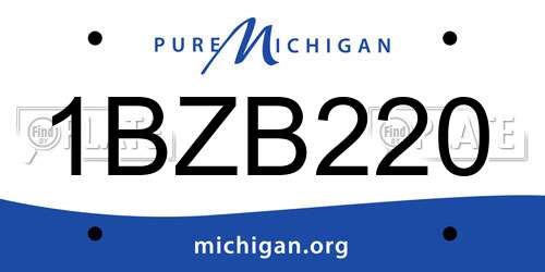 1BZB220 Michigan License Plate