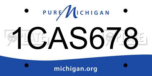 1CAS678 Michigan License Plate