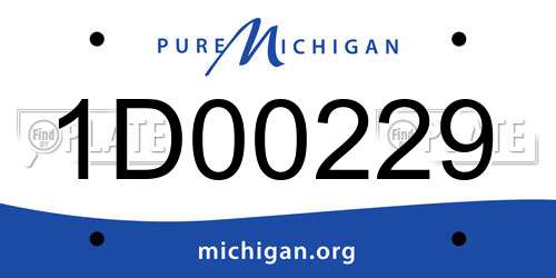 1D00229 Michigan License Plate