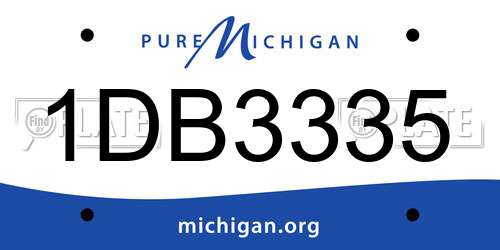1DB3335 Michigan License Plate
