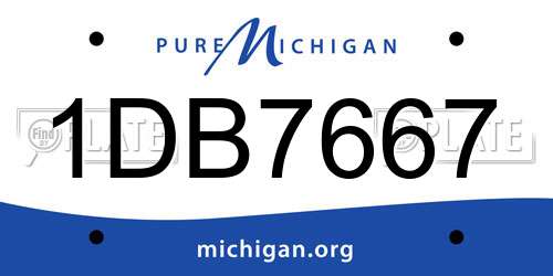 1DB7667 Michigan License Plate