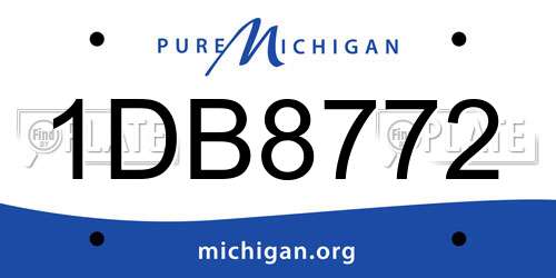1DB8772 Michigan License Plate