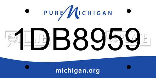1DB8959 Michigan License Plate