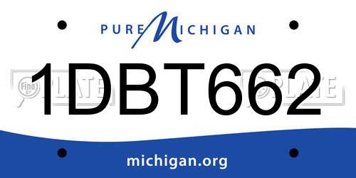 1DBT662 Michigan License Plate