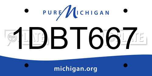 1DBT667 Michigan License Plate