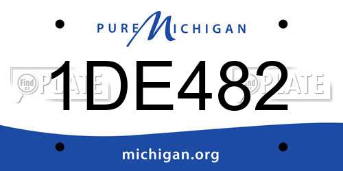 1DE482 Michigan License Plate