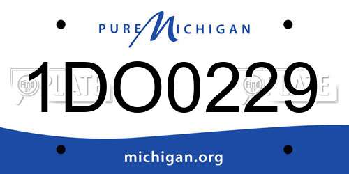 1DO0229 Michigan License Plate